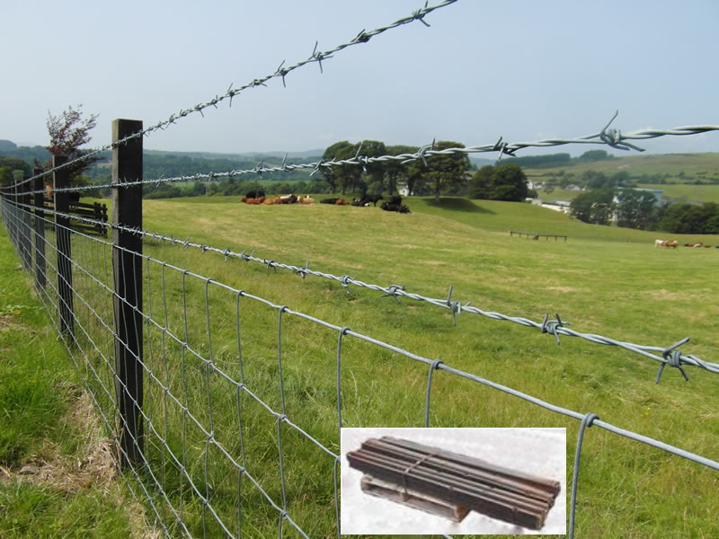 Cattle Farm and Horse Farm Field Fencing