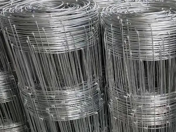 Hinged mesh fencing hot dipped galvanized for plantations