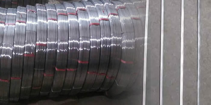 Galv. Carbon Steel Wire
