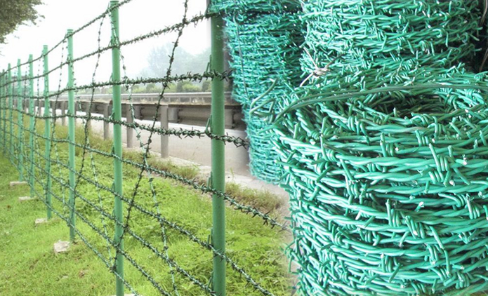 green barbed wire