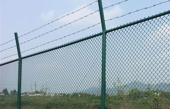 Dark Green Color Coated Wire Mesh Fence with Barbed Tape Fence Wire